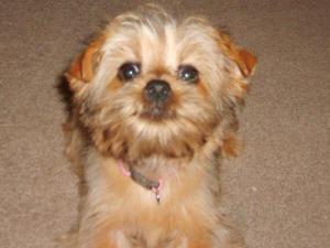 Lola