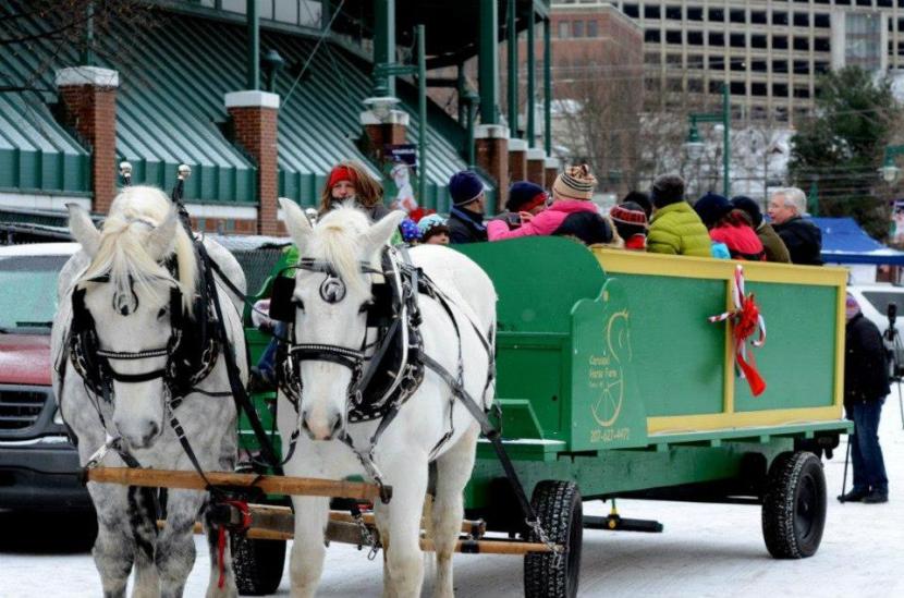 Carousel Horse Farm from Casco gave wagon rides around the warning track.